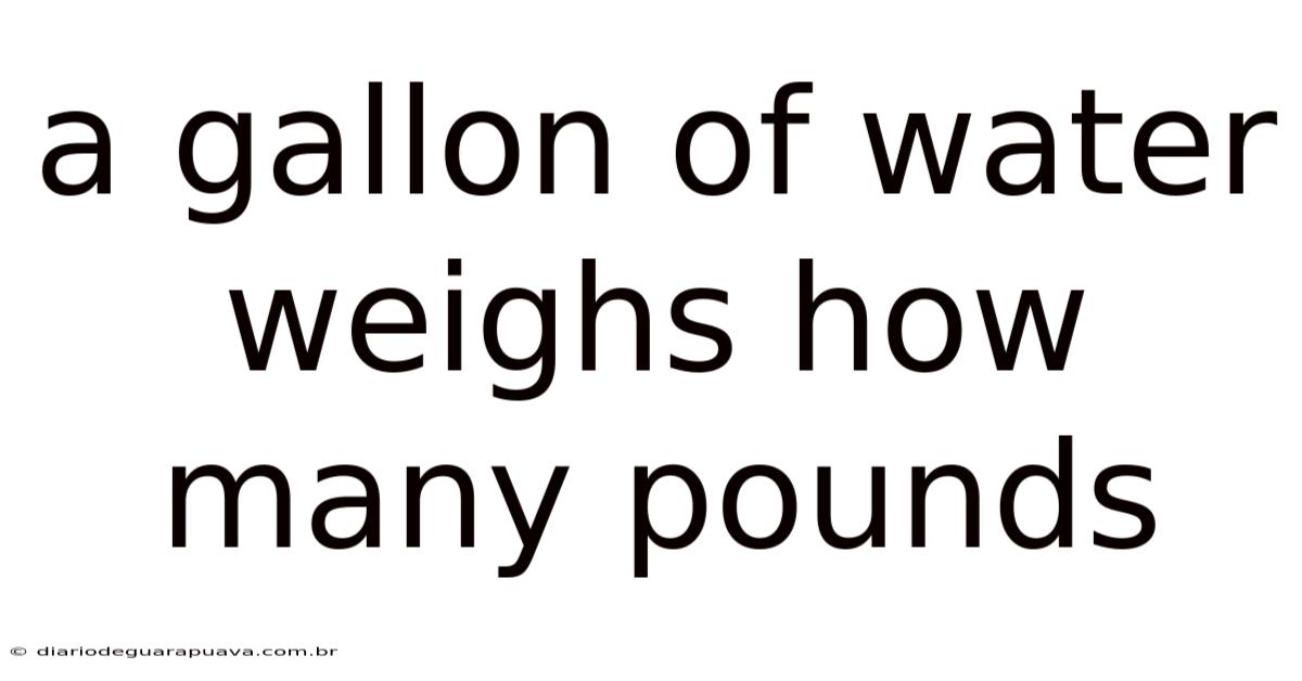 A Gallon Of Water Weighs How Many Pounds