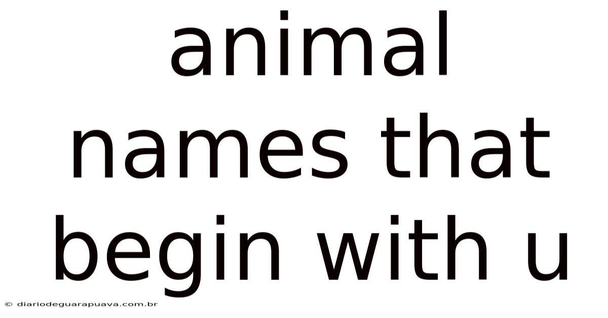 Animal Names That Begin With U
