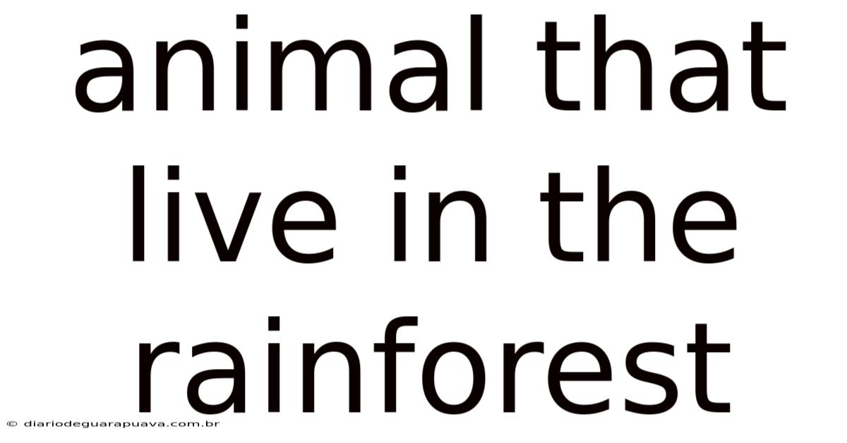 Animal That Live In The Rainforest