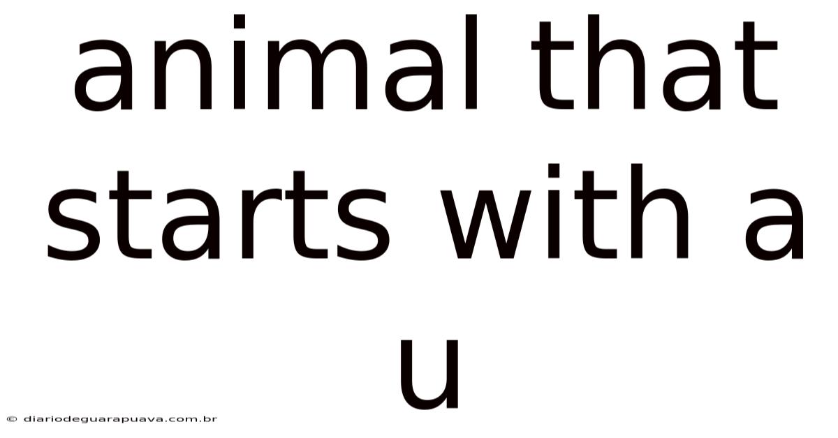 Animal That Starts With A U