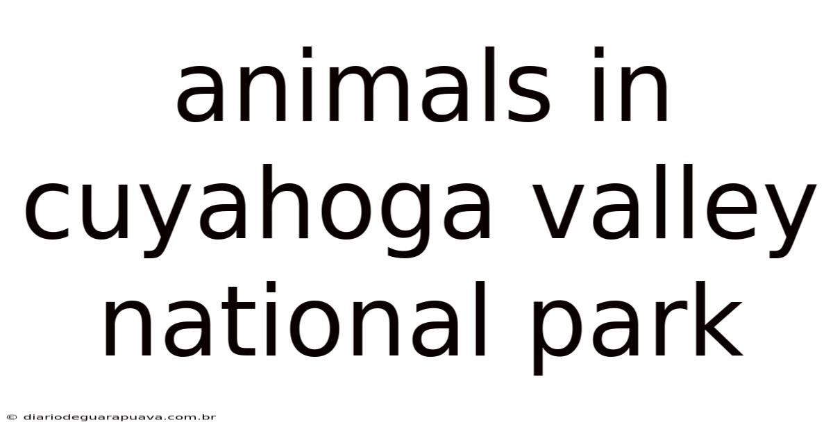 Animals In Cuyahoga Valley National Park