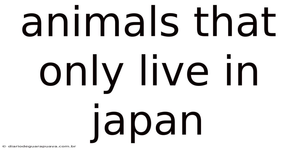 Animals That Only Live In Japan