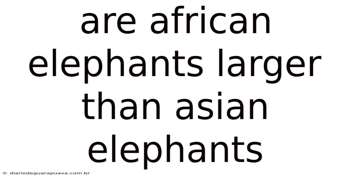 Are African Elephants Larger Than Asian Elephants