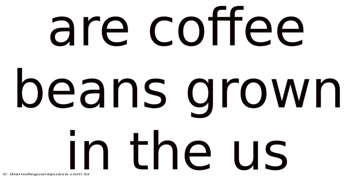 Are Coffee Beans Grown In The Us