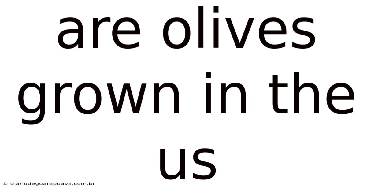Are Olives Grown In The Us