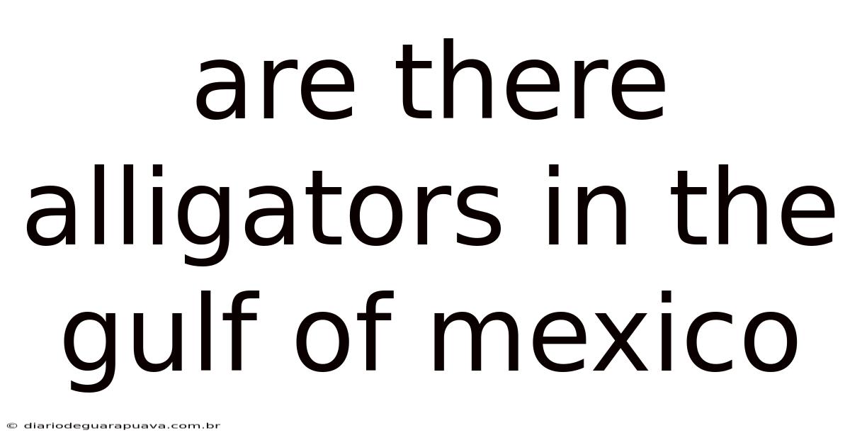 Are There Alligators In The Gulf Of Mexico