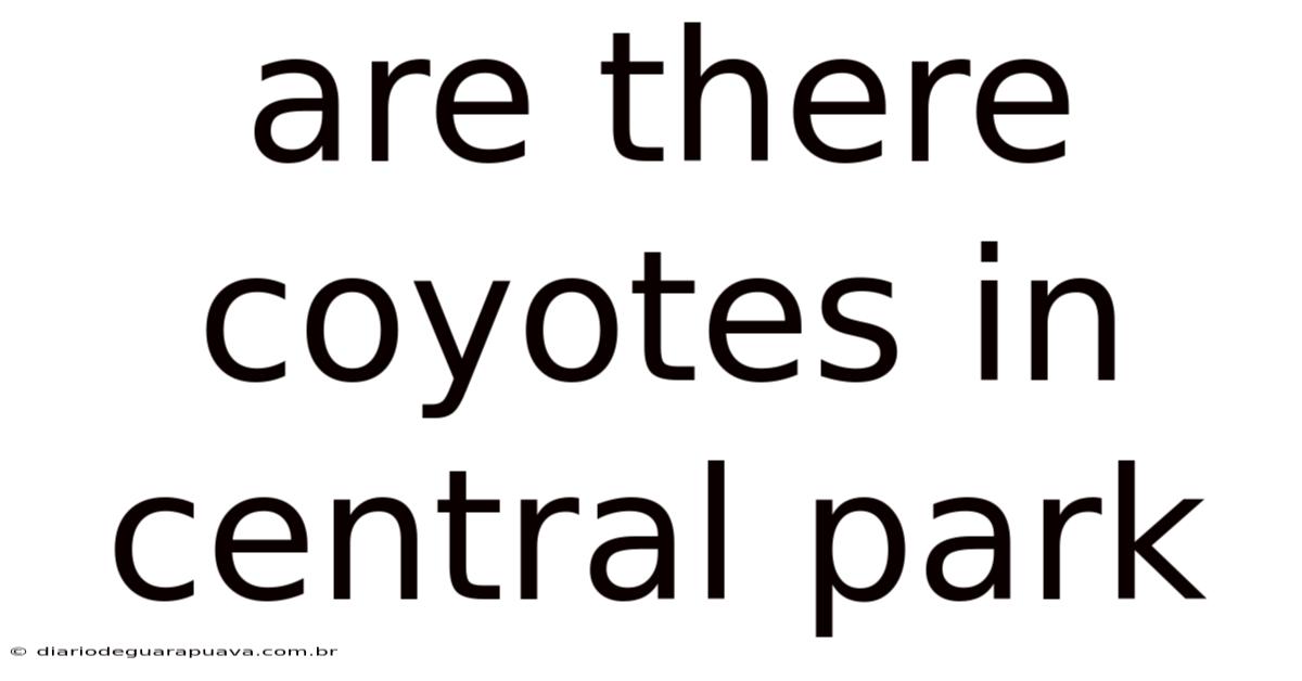Are There Coyotes In Central Park