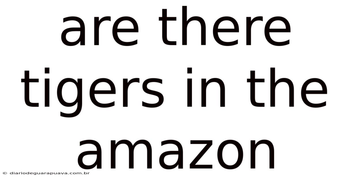 Are There Tigers In The Amazon