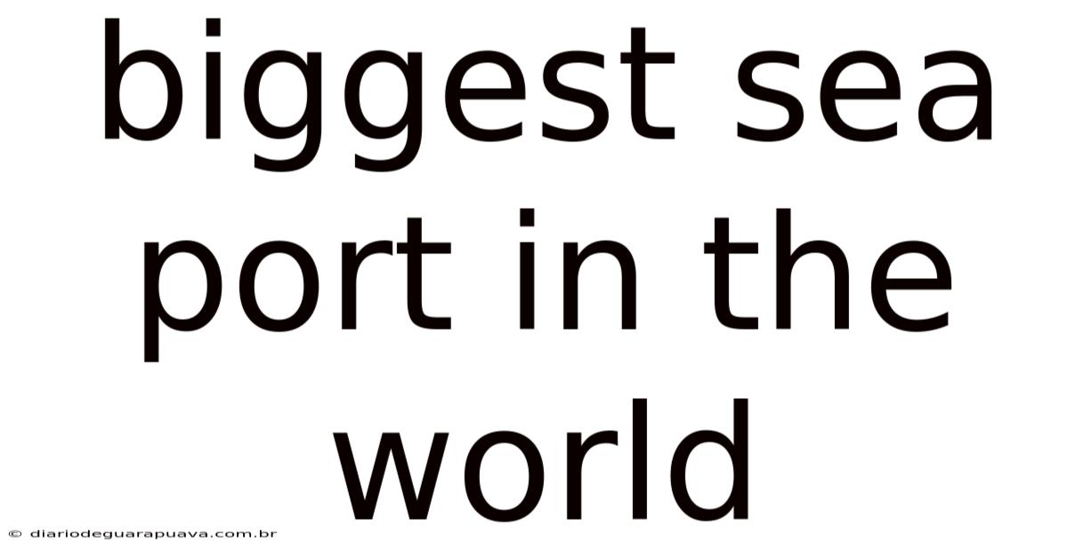 Biggest Sea Port In The World