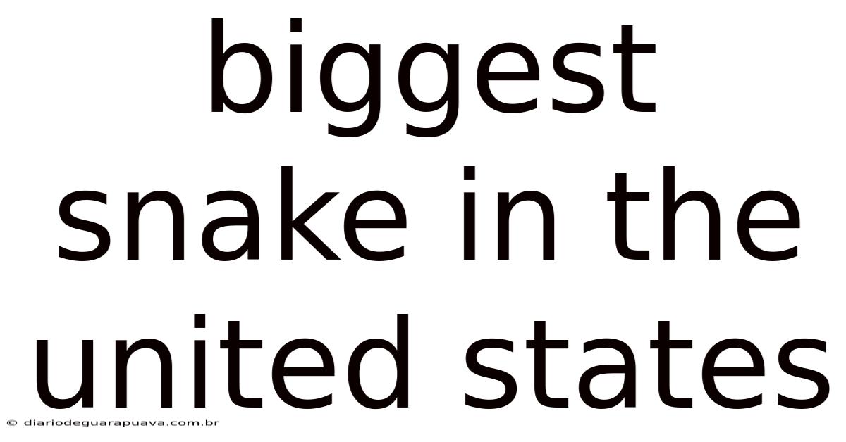 Biggest Snake In The United States