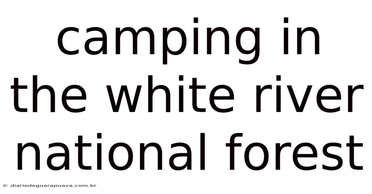 Camping In The White River National Forest