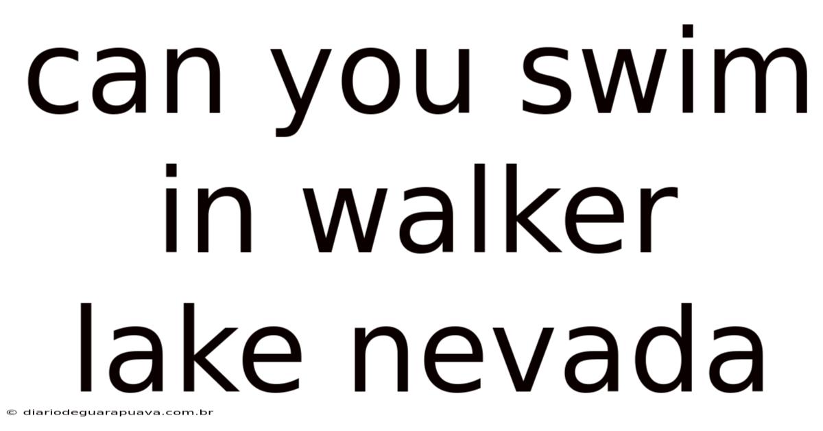 Can You Swim In Walker Lake Nevada