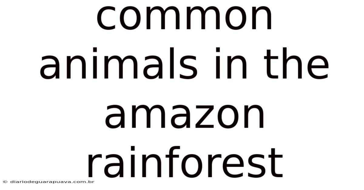 Common Animals In The Amazon Rainforest