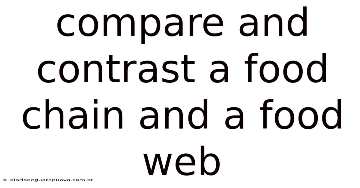 Compare And Contrast A Food Chain And A Food Web