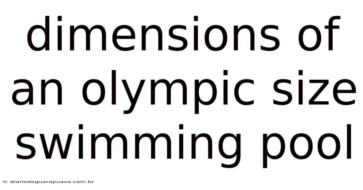 Dimensions Of An Olympic Size Swimming Pool