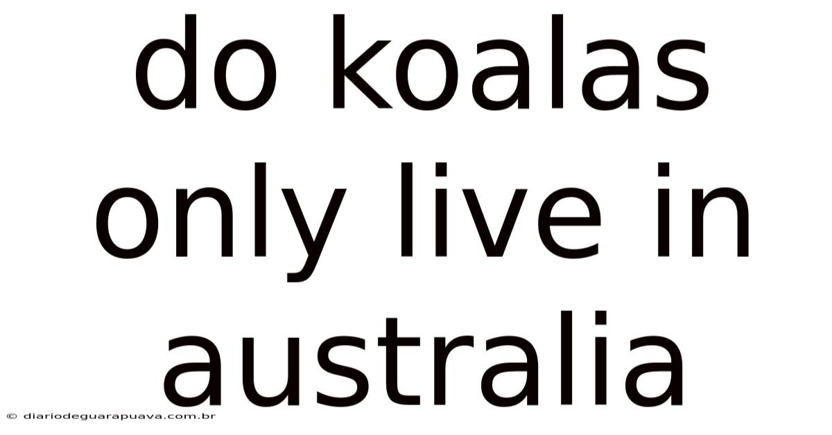 Do Koalas Only Live In Australia