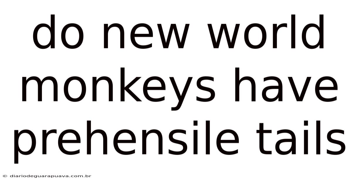 Do New World Monkeys Have Prehensile Tails