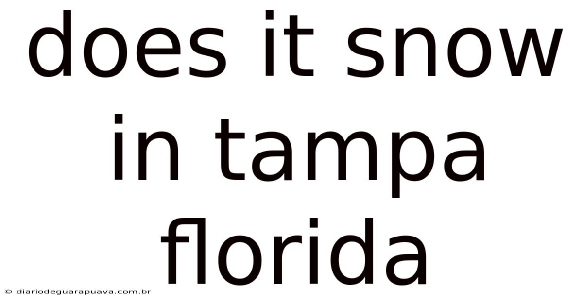 Does It Snow In Tampa Florida