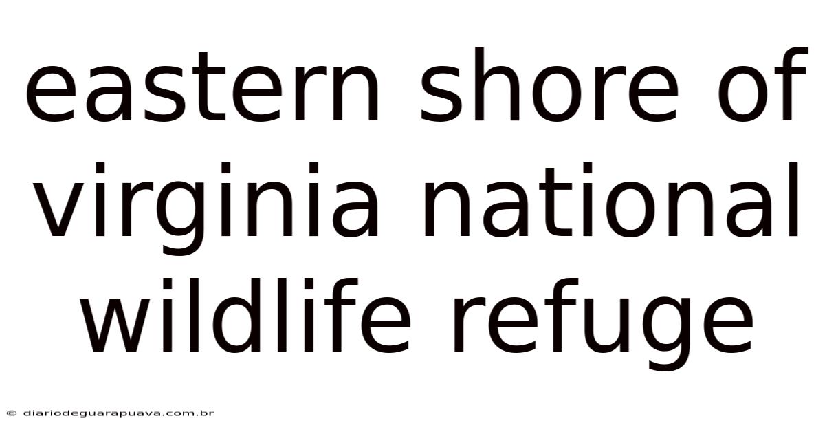 Eastern Shore Of Virginia National Wildlife Refuge