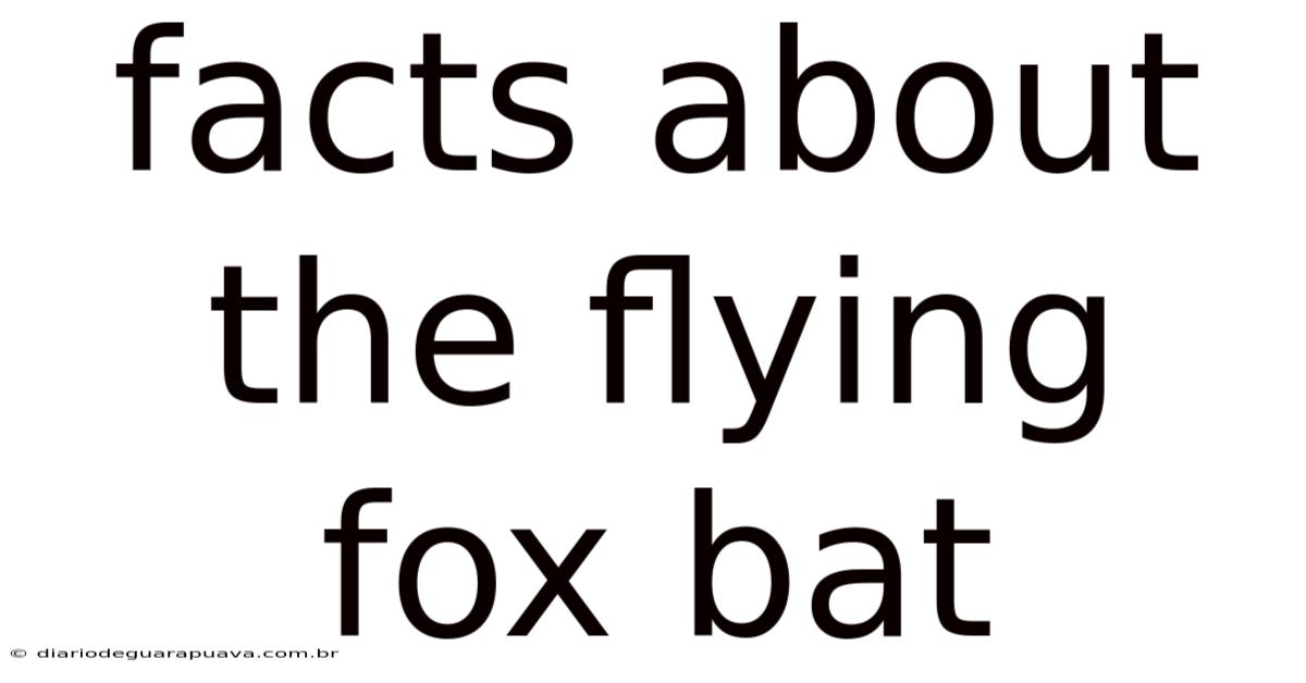 Facts About The Flying Fox Bat