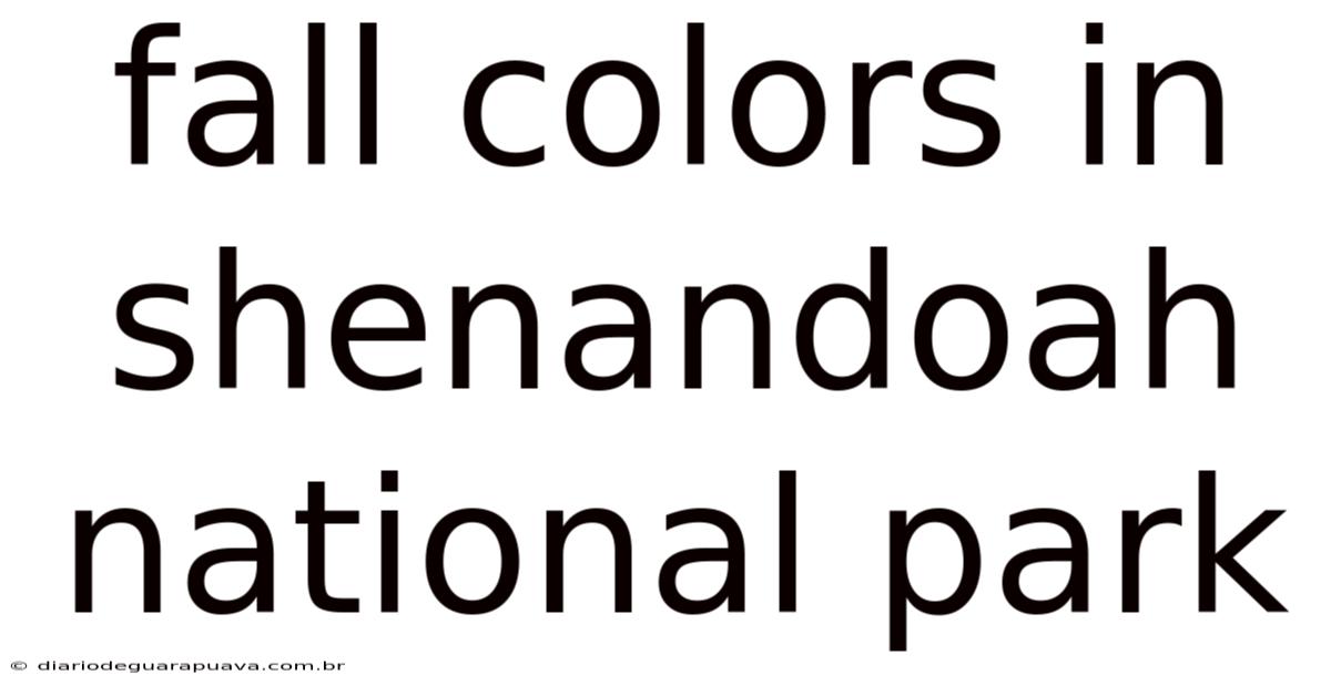 Fall Colors In Shenandoah National Park