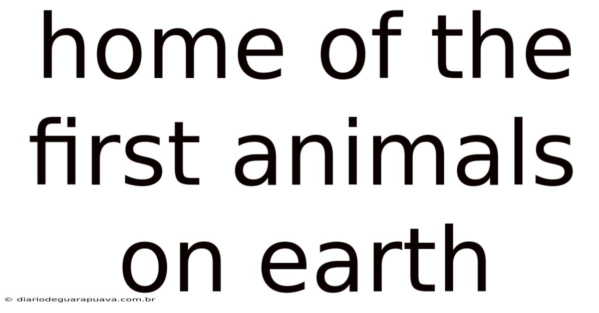 Home Of The First Animals On Earth