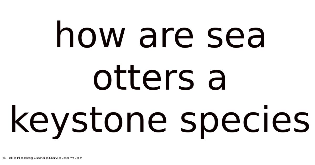 How Are Sea Otters A Keystone Species