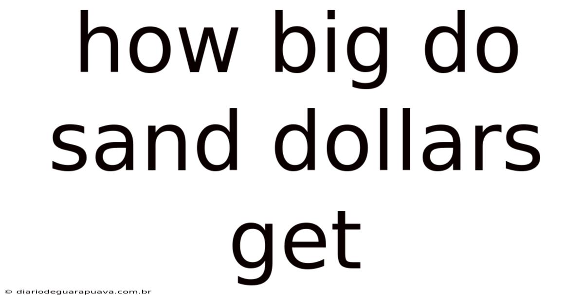 How Big Do Sand Dollars Get