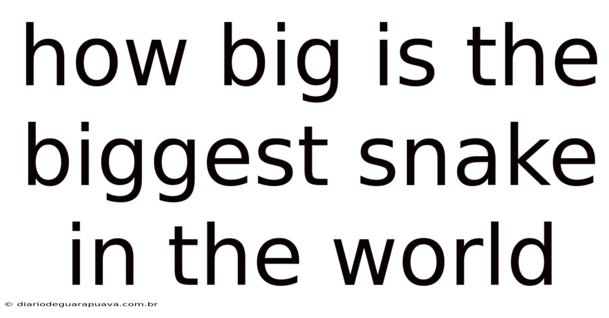 How Big Is The Biggest Snake In The World