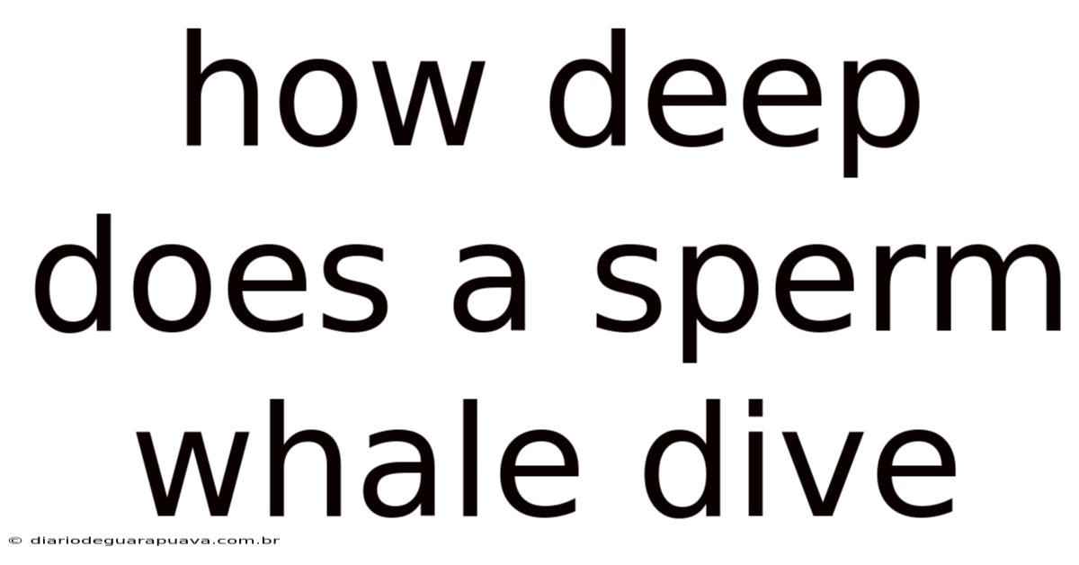 How Deep Does A Sperm Whale Dive