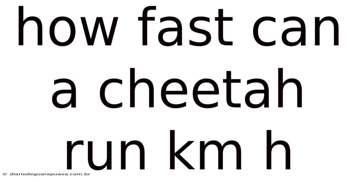 How Fast Can A Cheetah Run Km H