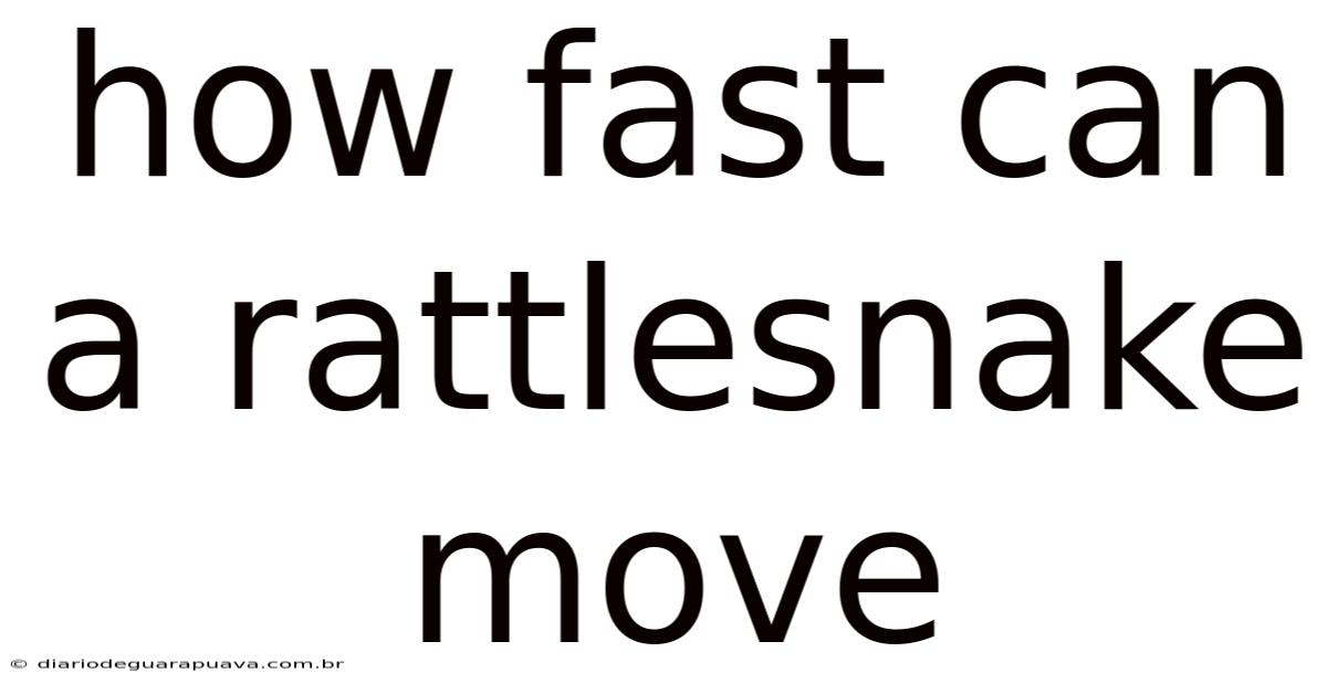 How Fast Can A Rattlesnake Move