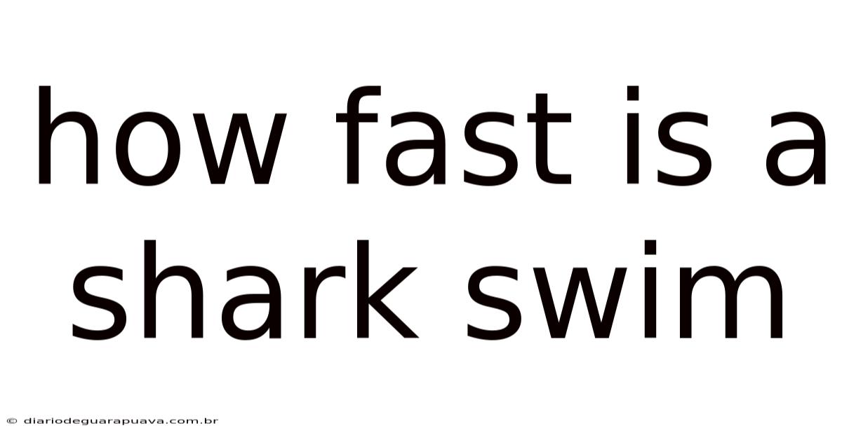 How Fast Is A Shark Swim