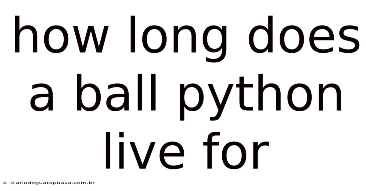 How Long Does A Ball Python Live For