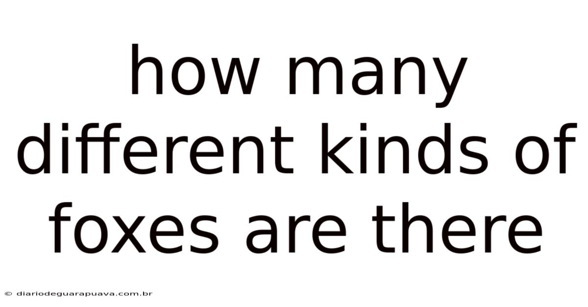 How Many Different Kinds Of Foxes Are There