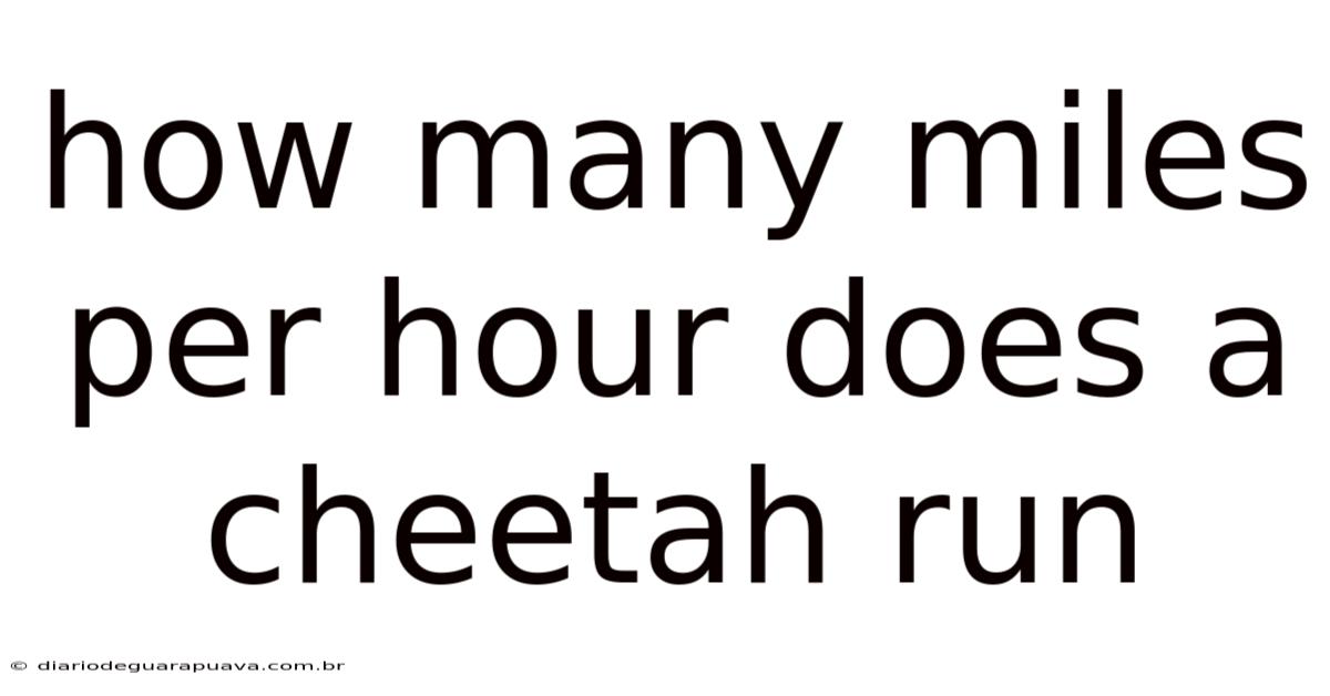 How Many Miles Per Hour Does A Cheetah Run