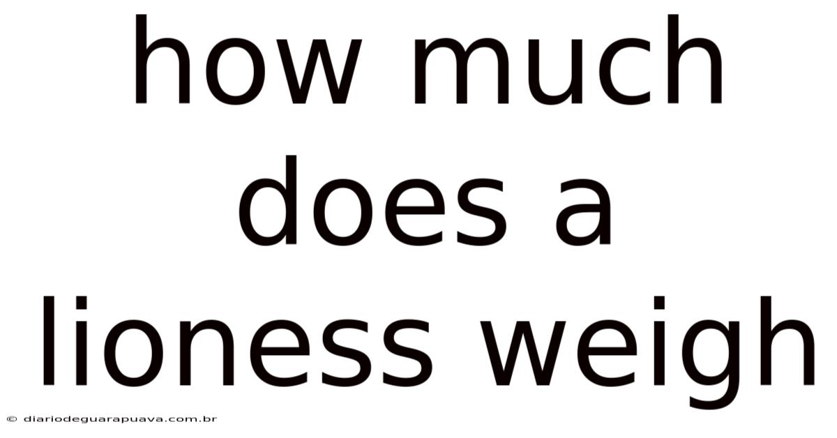 How Much Does A Lioness Weigh