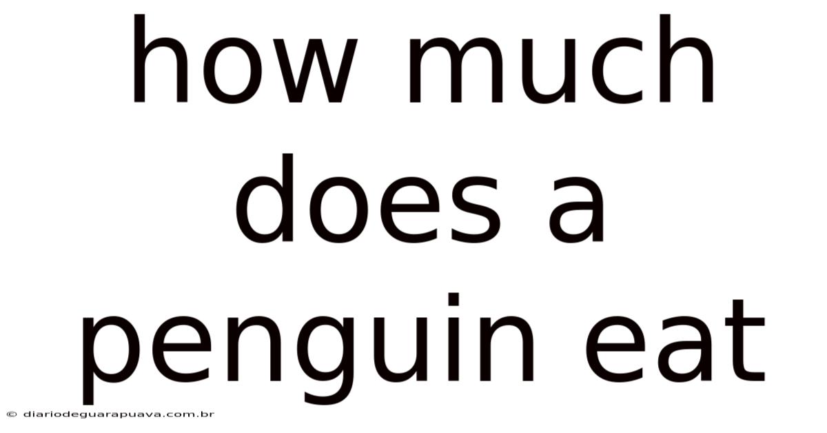 How Much Does A Penguin Eat