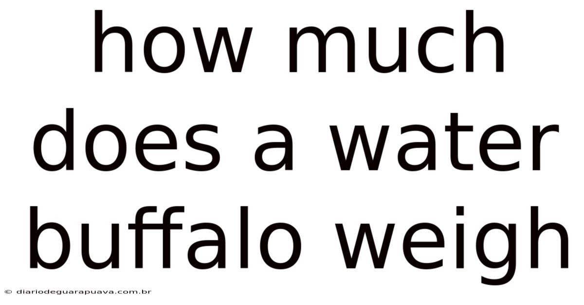 How Much Does A Water Buffalo Weigh