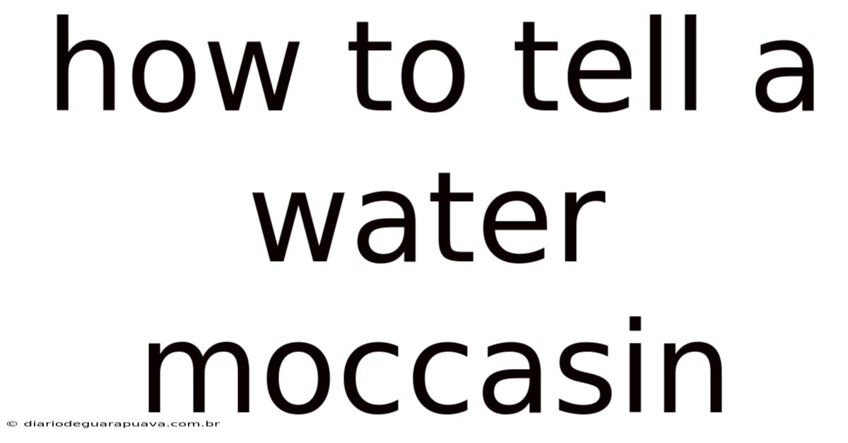 How To Tell A Water Moccasin