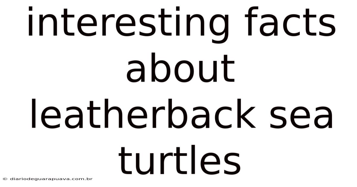 Interesting Facts About Leatherback Sea Turtles