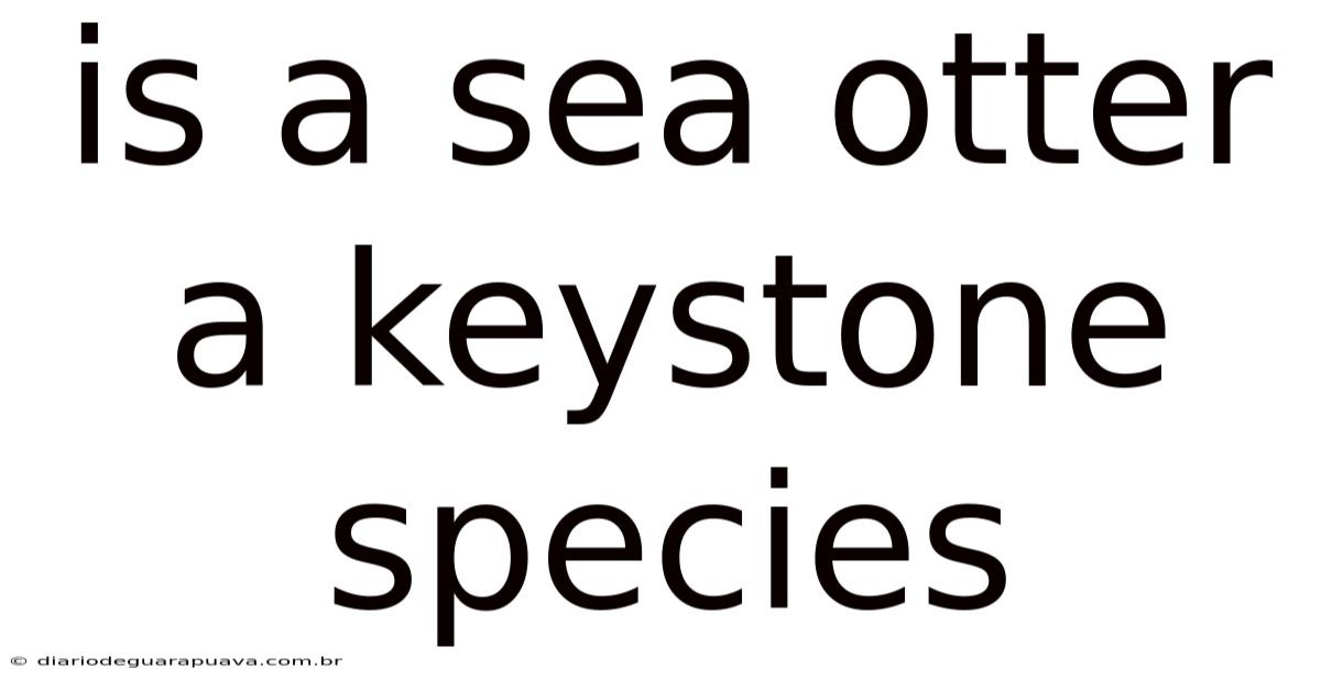 Is A Sea Otter A Keystone Species