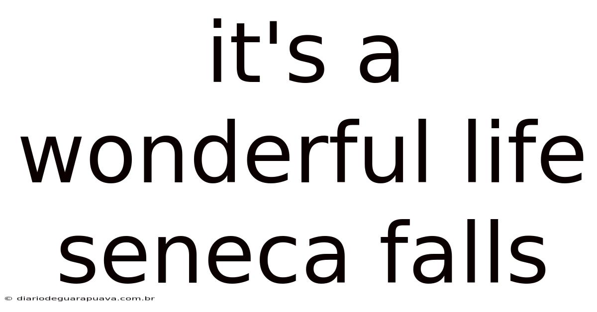 It's A Wonderful Life Seneca Falls