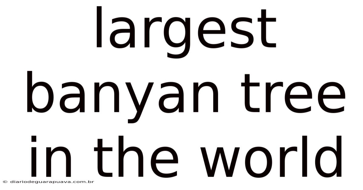 Largest Banyan Tree In The World