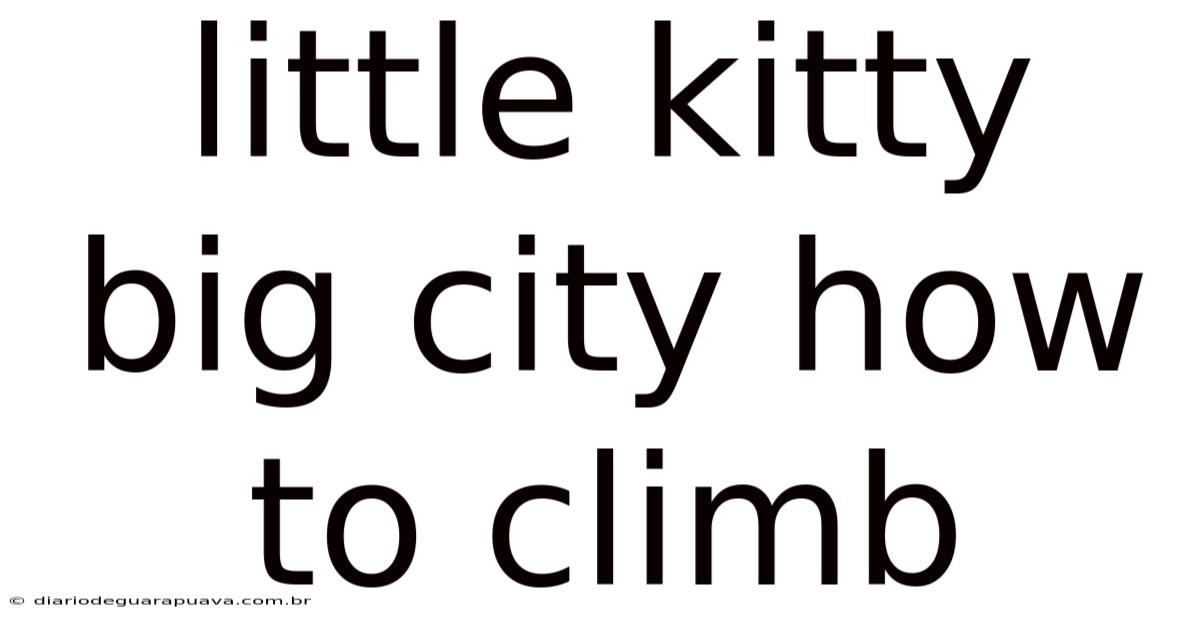 Little Kitty Big City How To Climb