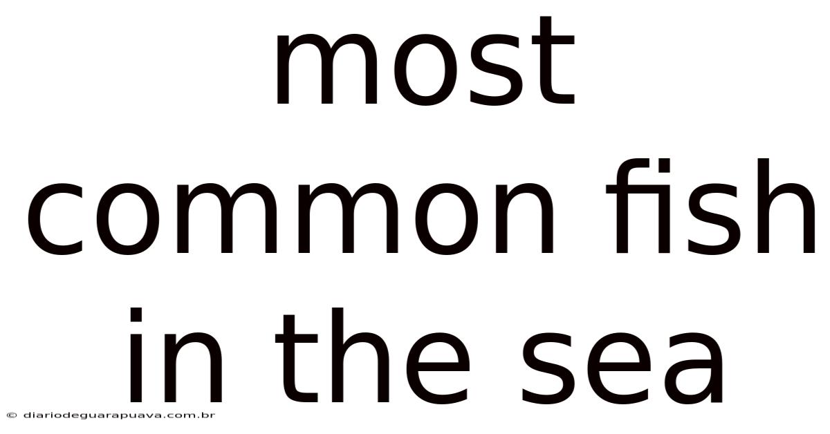 Most Common Fish In The Sea