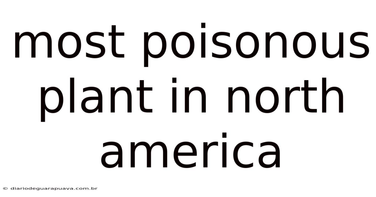Most Poisonous Plant In North America