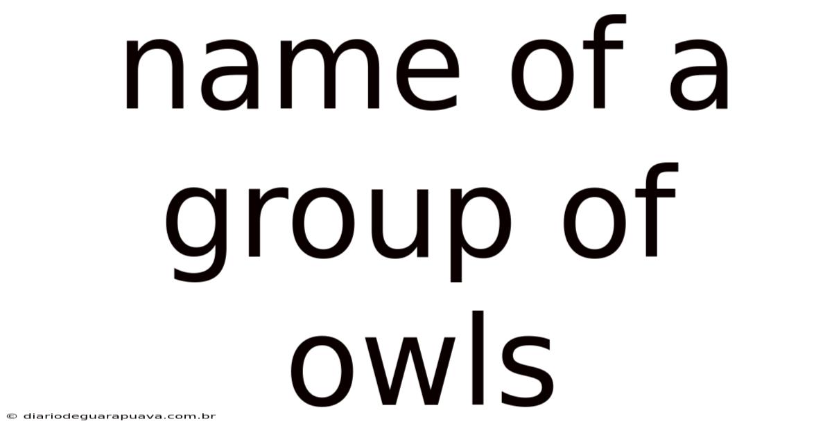 Name Of A Group Of Owls