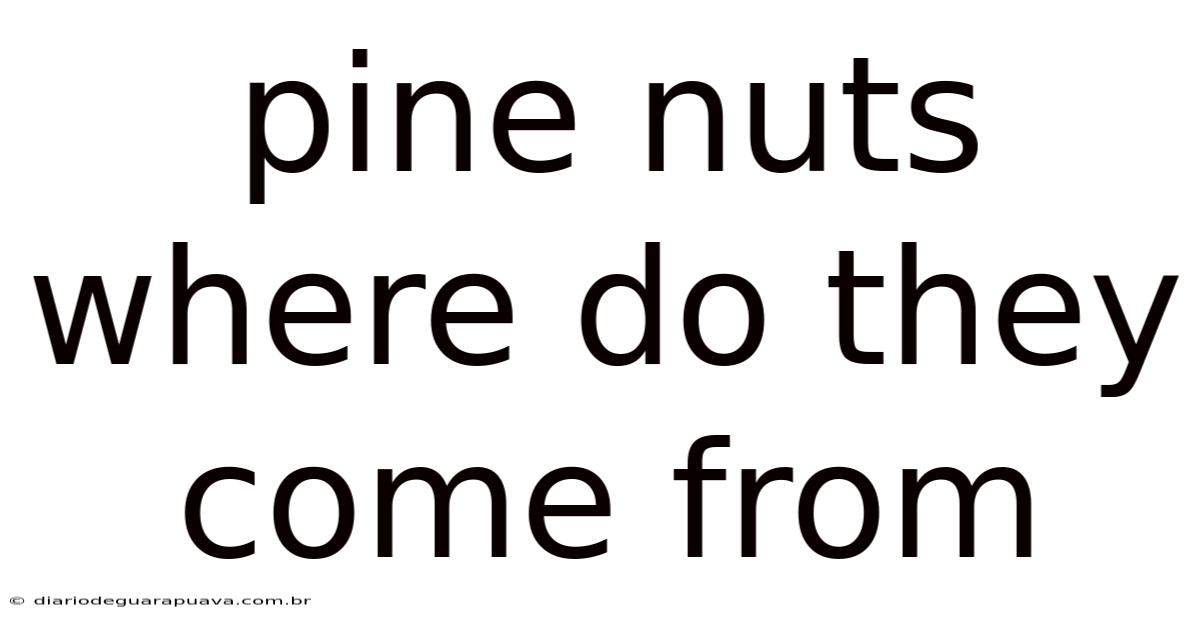 Pine Nuts Where Do They Come From