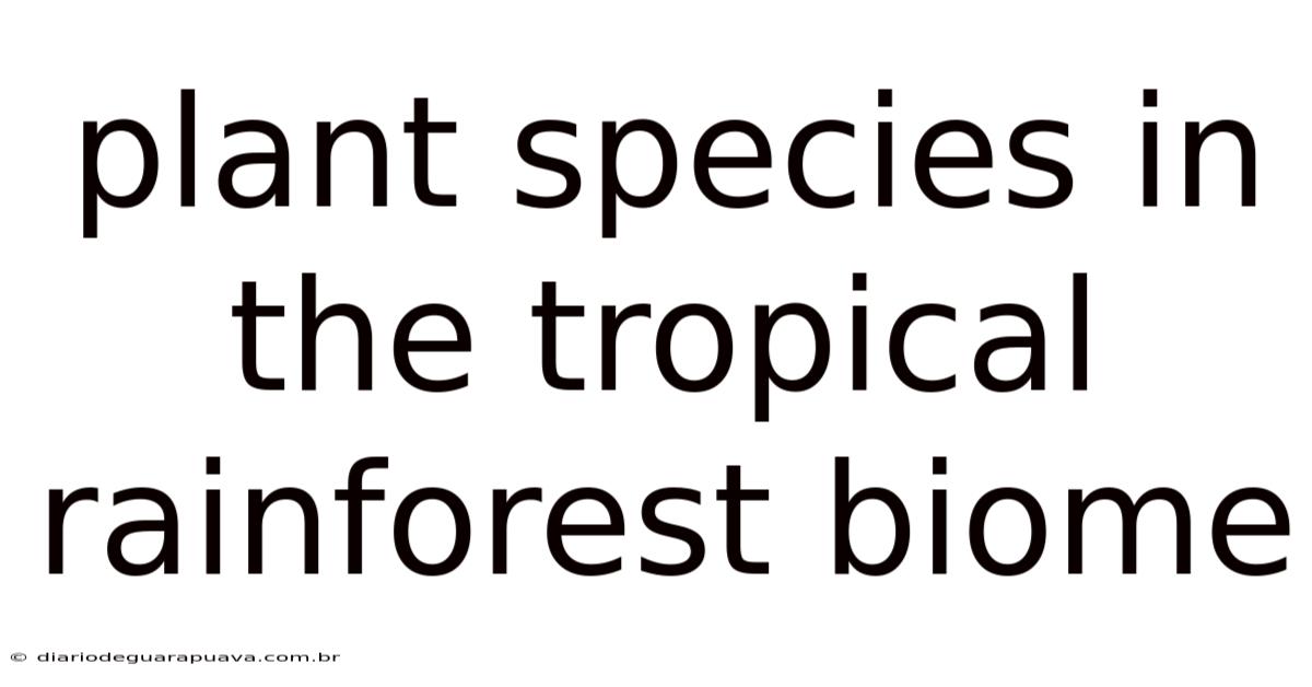 Plant Species In The Tropical Rainforest Biome